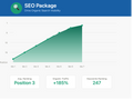 SEARCH ENGINE OPTIMIZATION (SEO)